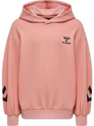 Dziewczęca bluza z kapturem Hummel Due. Czerwone bluzy z kapturem damskie HUMMEL, z bawełny. Za 166.50 zł.