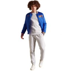 Bluza turystyczna męska Superdry Vintage Logo. Szare bluzy bez kaptura męskie Superdry., m, z bawełny. W wyprzedaży za 145.00 zł.
