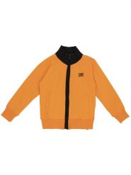 Bluza z kaptur na co dzień na siłownię. Brązowe bluzy z kapturem męskie LEONE 1947 APPAREL. Za 84.16 zł.