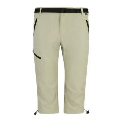 Szorty Regatta Xert Stretch Capri. Brązowe szorty męskie Regatta, bez kołnierzyka. Za 324.50 zł.