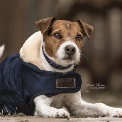 Płaszcz dla psa Kentucky Original 160g. Niebieskie płaszcze męskie KENTUCKY HORSEWEAR, l, bez wzorów, z materiału, klasyczne. Za 399.00 zł.