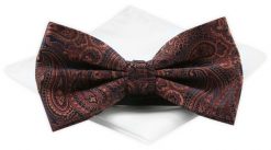 Mucha Męska z Białą Poszetką - Chattier - Miedziana z Wzorem Paisley. Białe krawaty i muchy męskie Chattier, bez wzorów, z poliesteru, eleganckie. Za 59.00 zł.